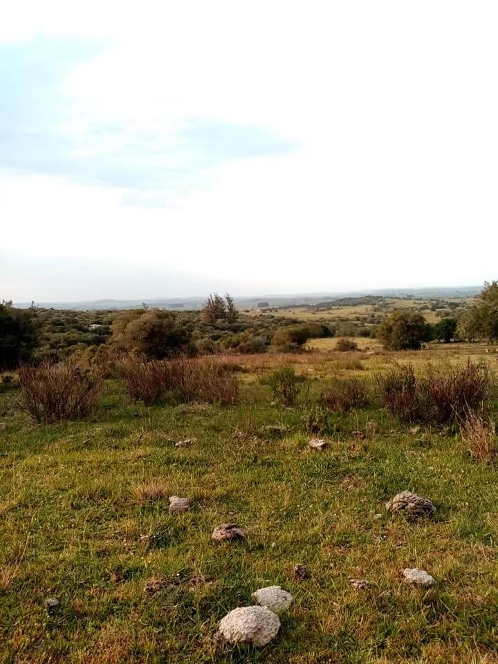 Retiro 2019 Espacio Las caibas